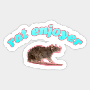 rat enjoyer Sticker